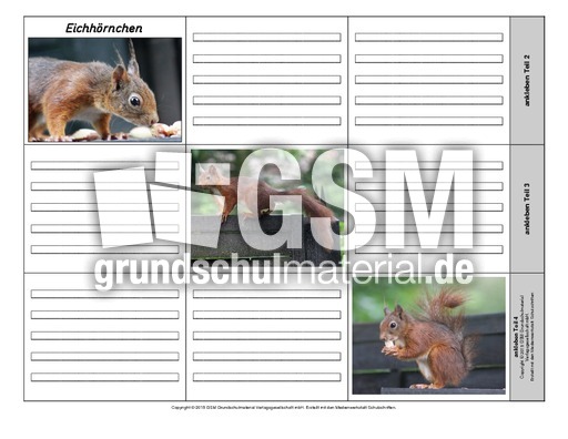 Leporello-Eichhörnchen-1-1-2.pdf
